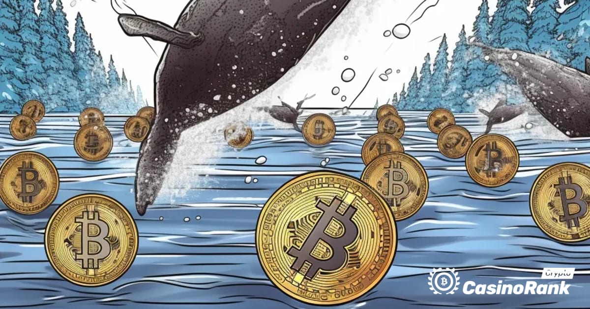 Whale Movements in Cryptocurrency Market: MATIC and SOL Tokens Transferred