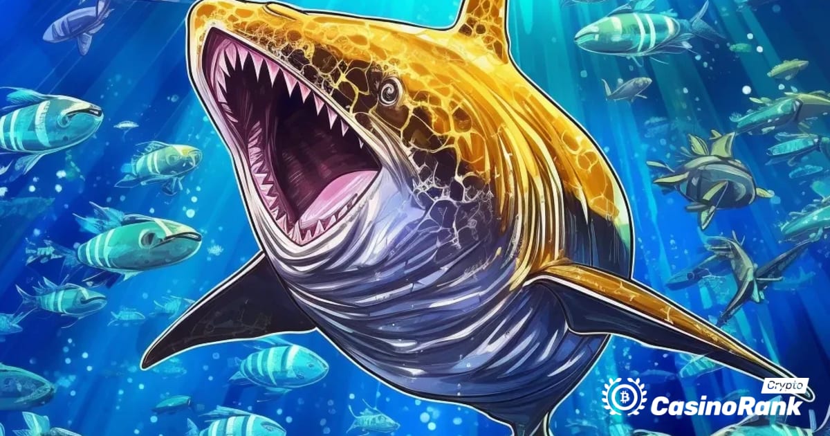 Unknown 'Smart Whale' Earns Millions Trading Wrapped Bitcoin and Discovers Dormant Ethereum ICO Wallet
